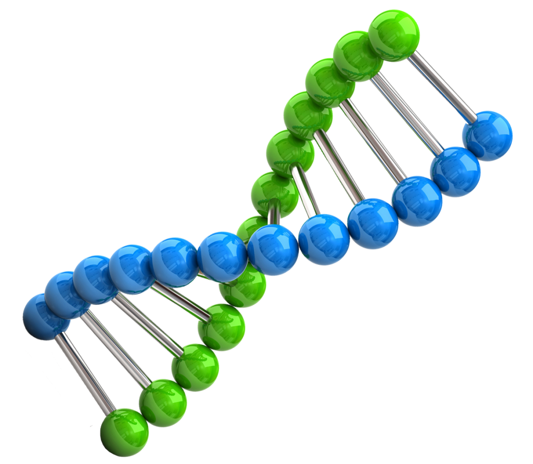 Chromosome Dpc Computer